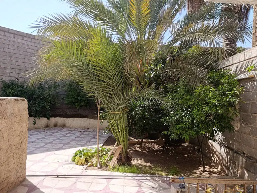 فروش زمین از 1500به بالا