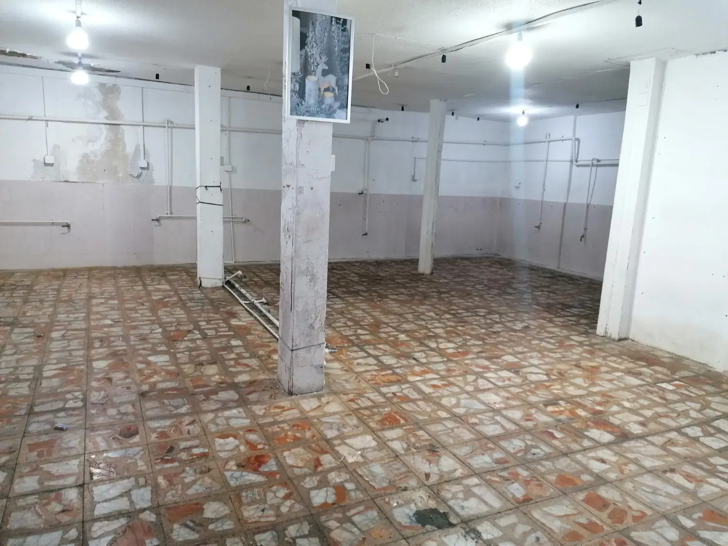 145 متر تولیدی
