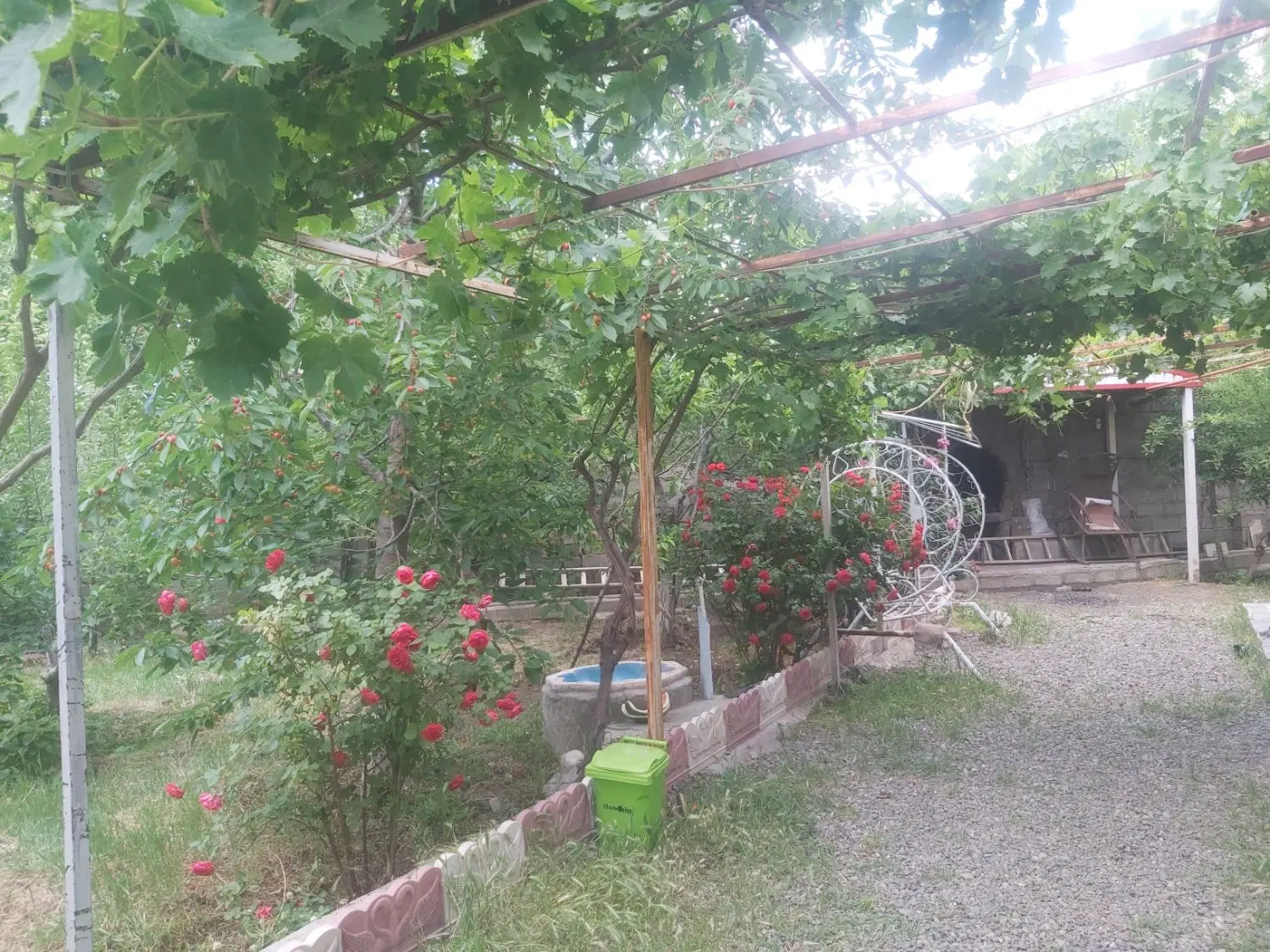 باغ ویلای