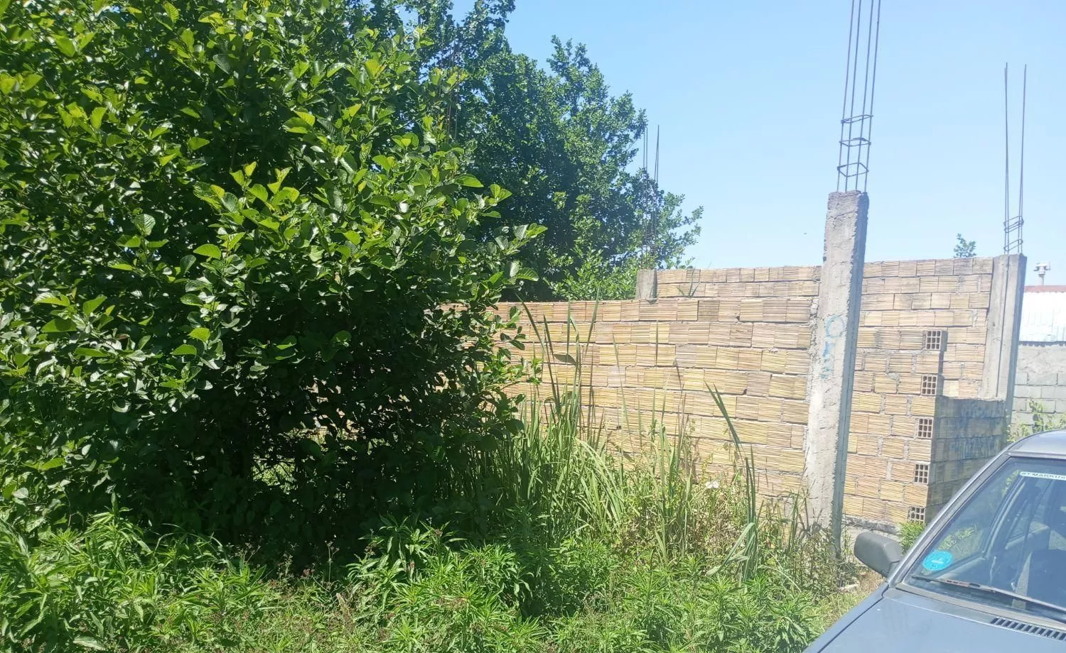 زمین بشمن ۱۲۵ متری مسکونی دور دیوار