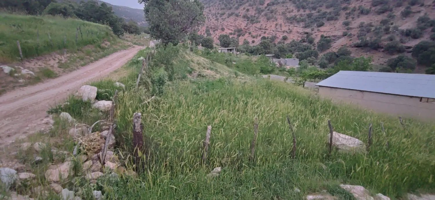 فروش 300متر زمین در روستای قلات یاسوج (رضا آباد)