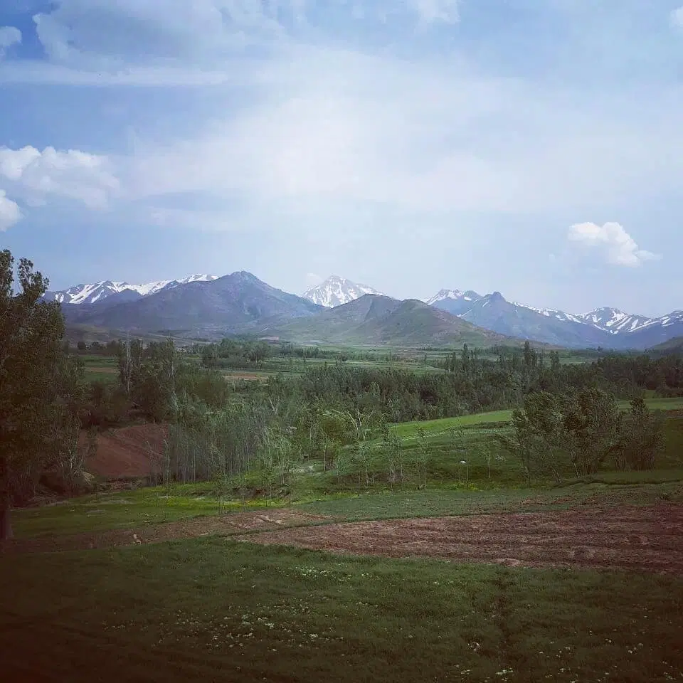زمین باغی