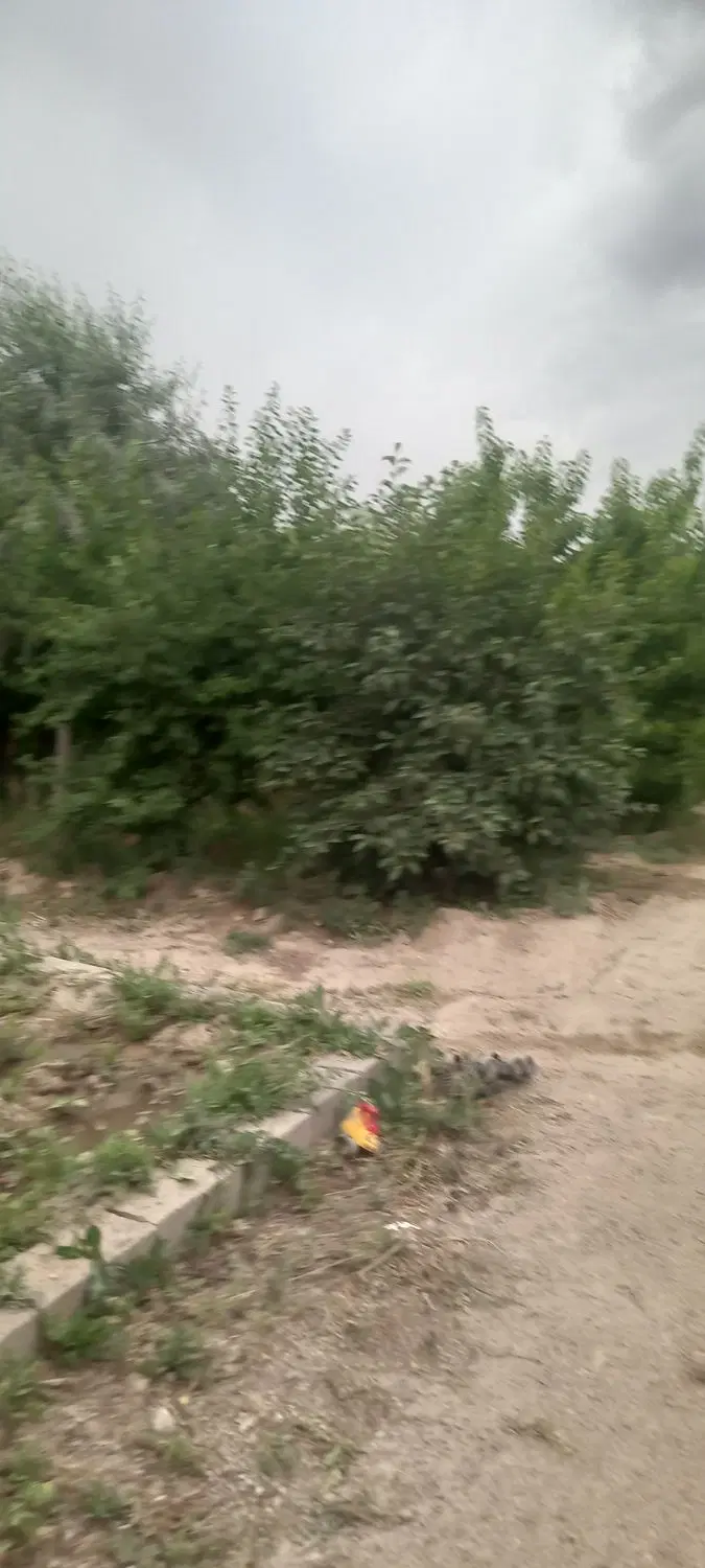 باغ ویلا ۱۰۰۰متری کلاکوب باغستان گوهرهشتم