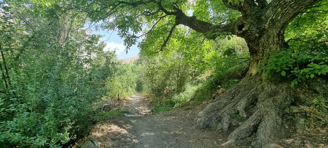 کردان ویلا مدرن کنار رودخانه