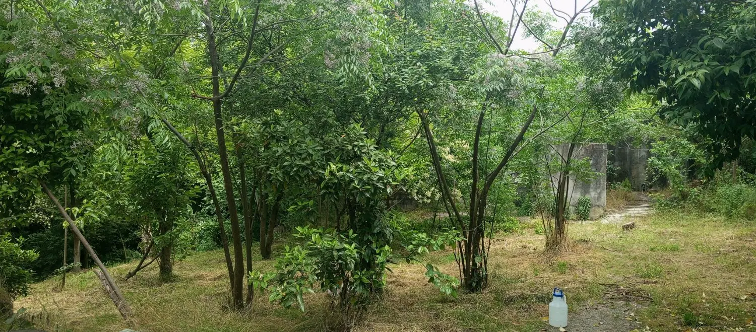 ملک وخانه کلنگی