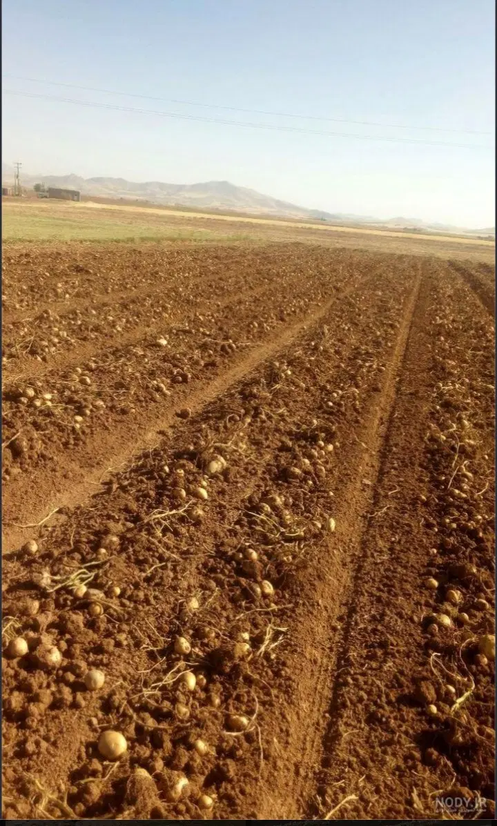 زمین کشاورزی