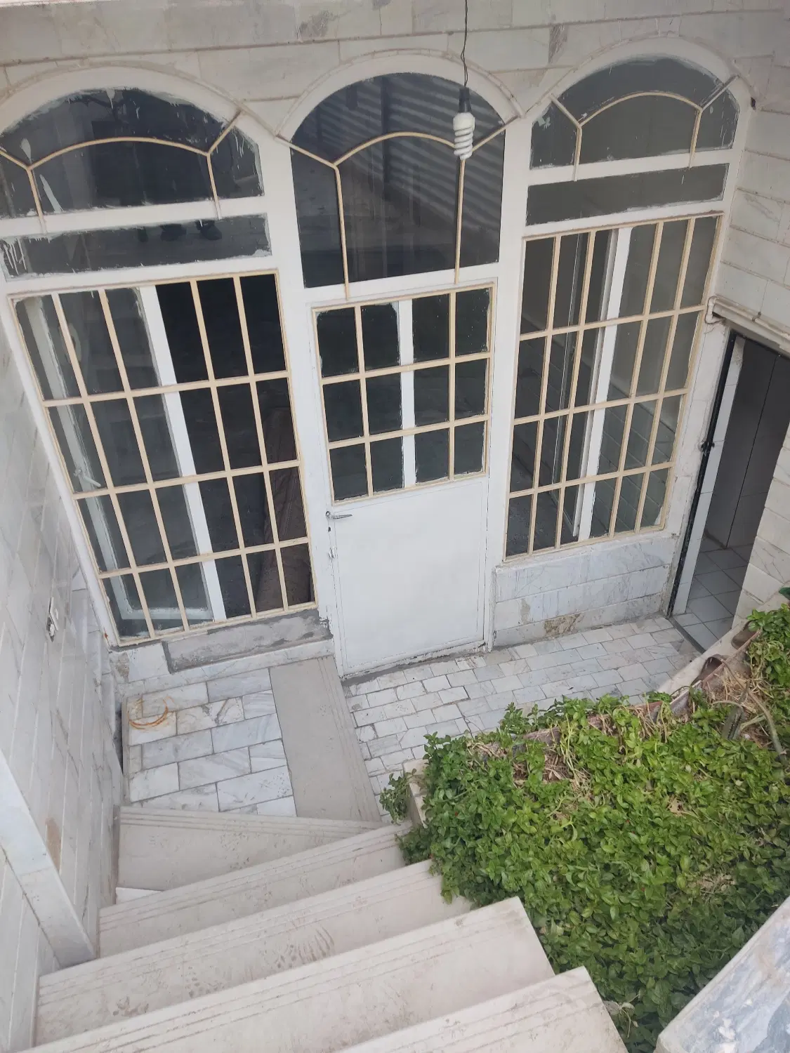 اجاره زیرزمین گلخانه ای
