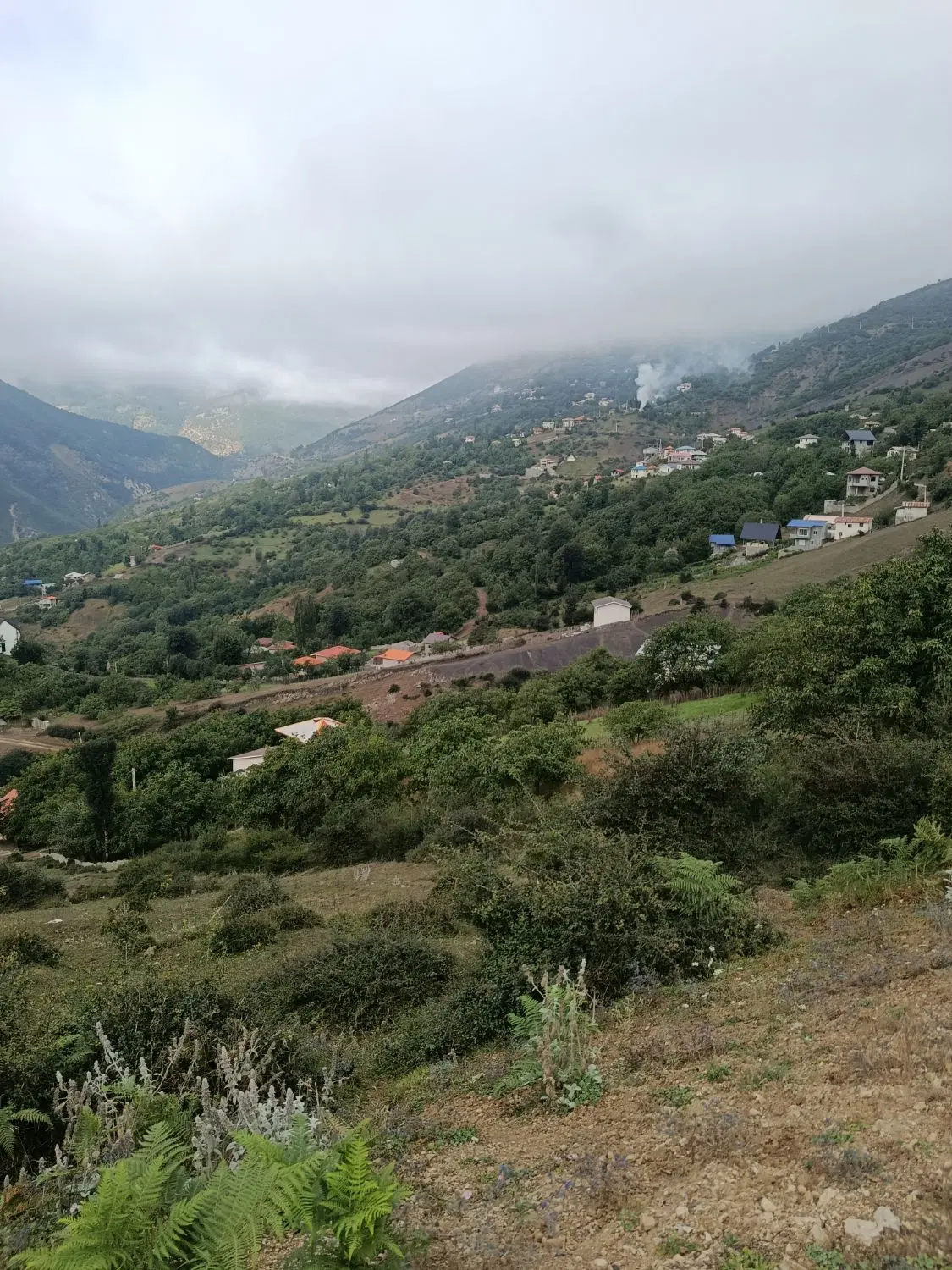 زمین