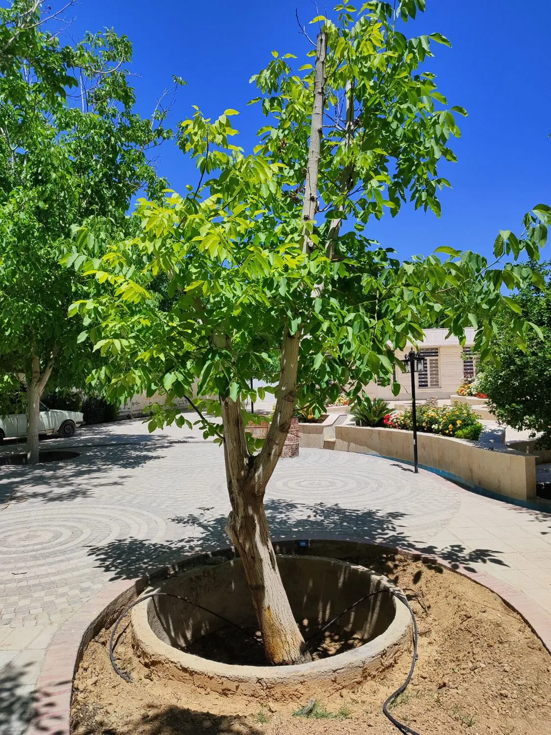 منزل کلنگی شهرک بزین