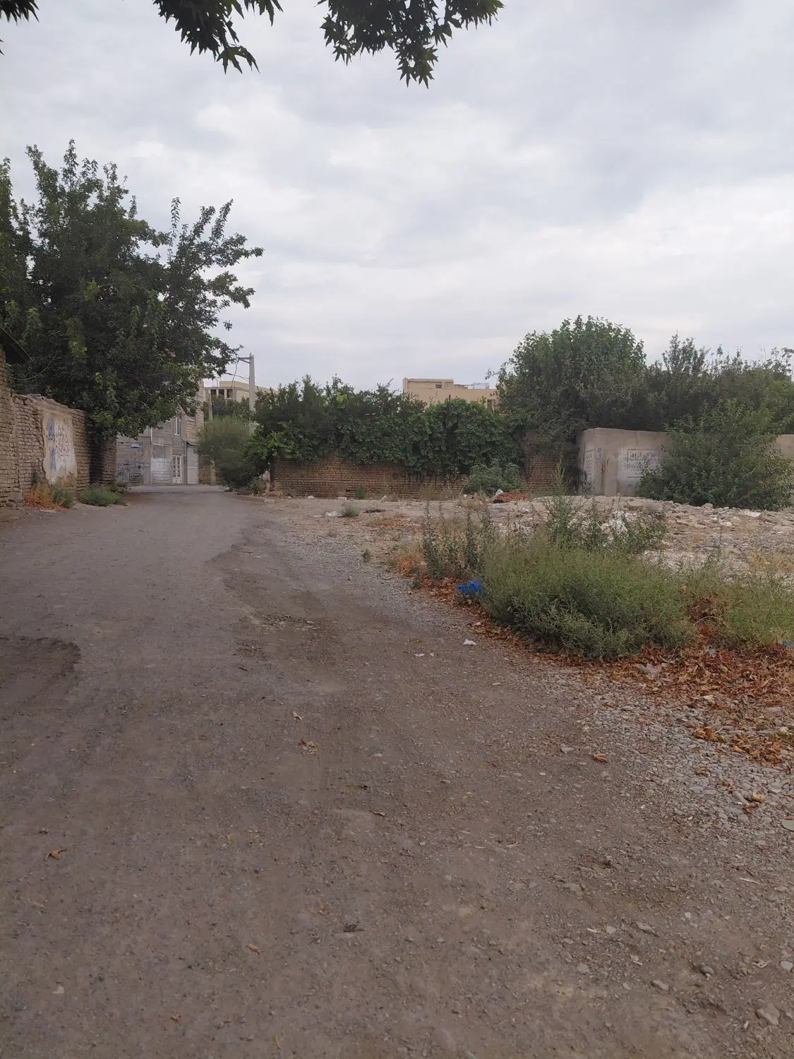 زمین۲۴۰متری در کهنز