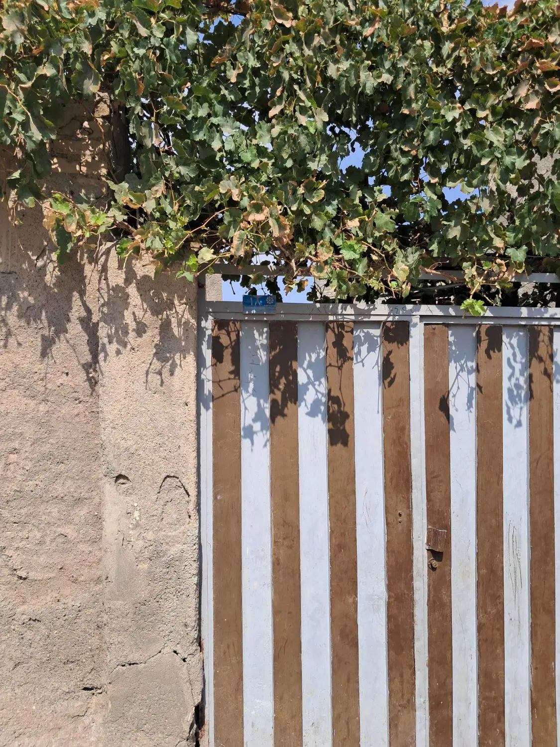 رهن و اجاره