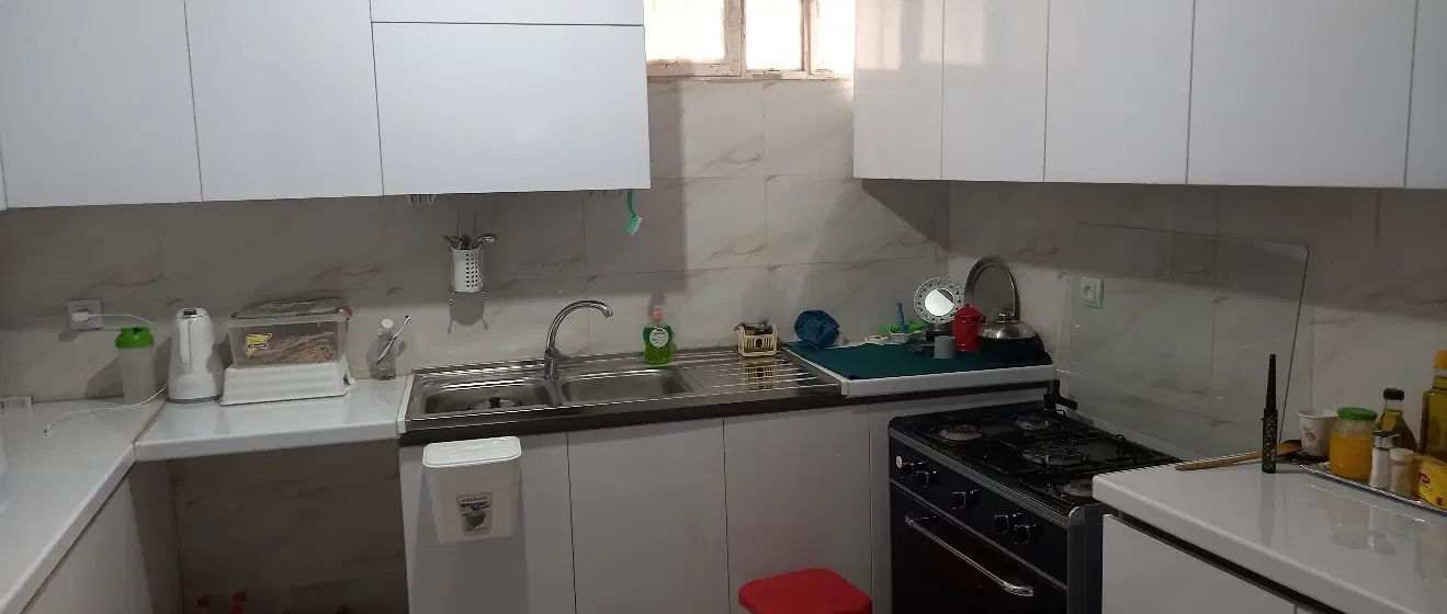 همخونه (Room mate)