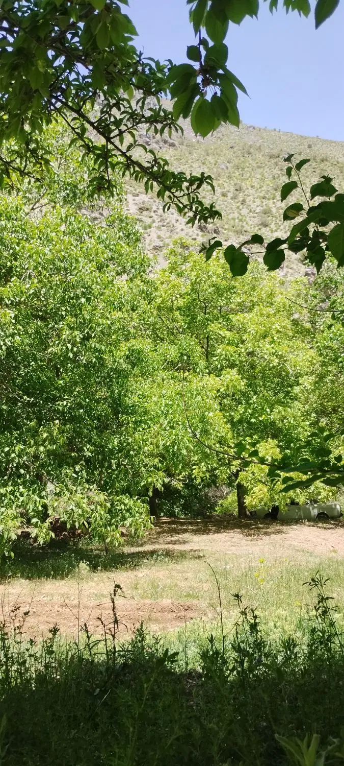 چند قطعه زمین فروشی