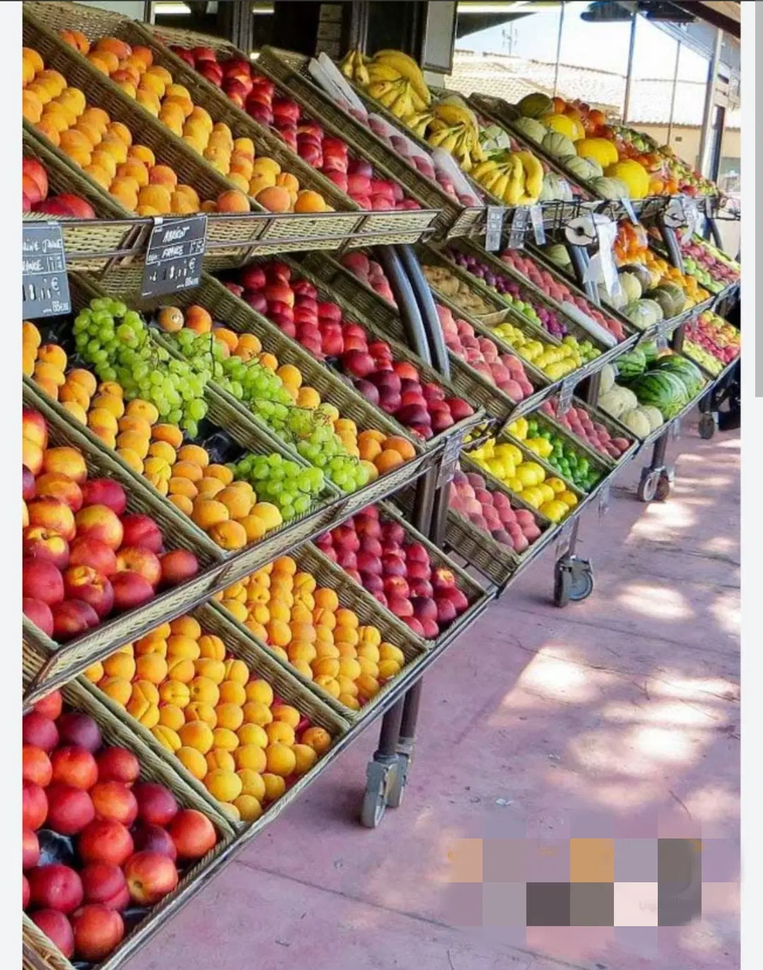 شراکت مغازه میوه فروشی