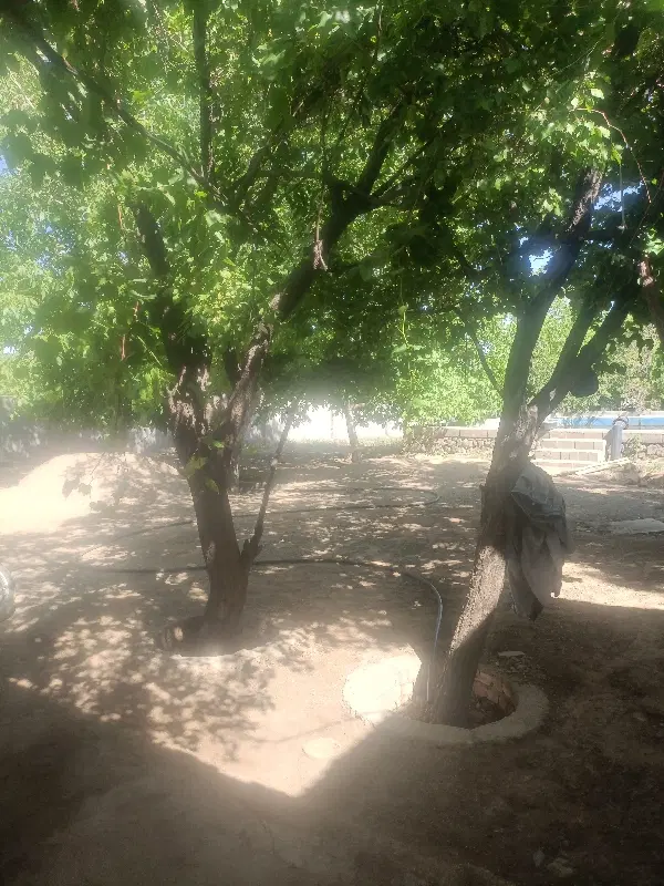 زمین مسکونی