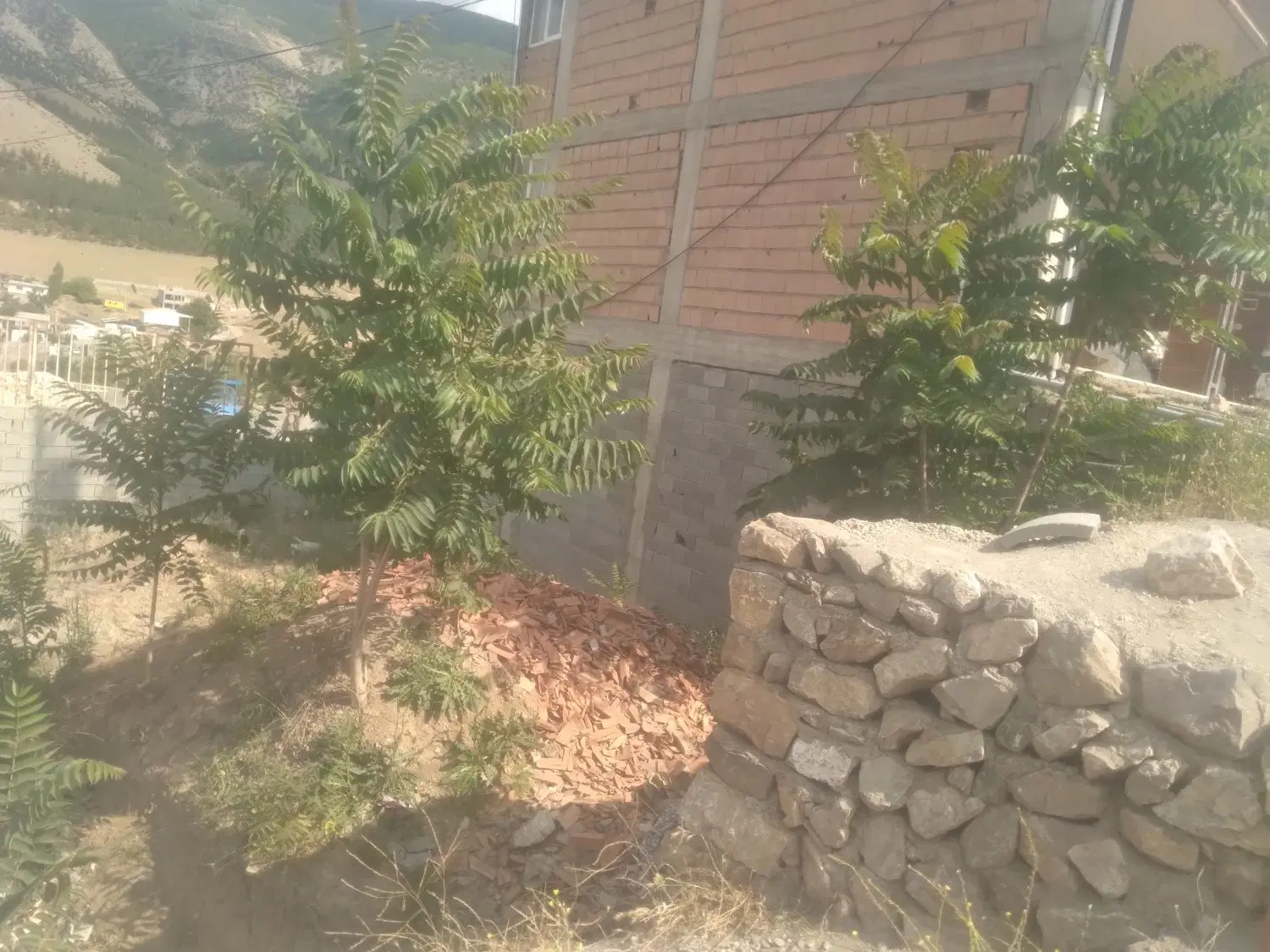 فروش زمین تجاری در مرزن اباد