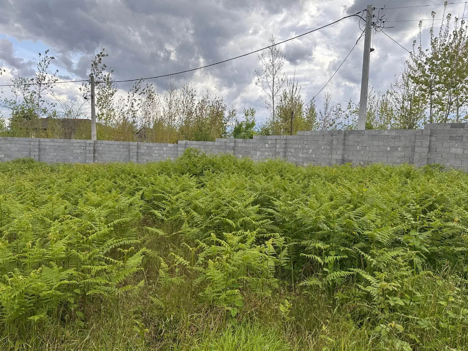 فروش زمین
