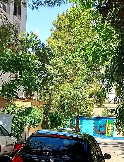 باغ شهری طرح هادی