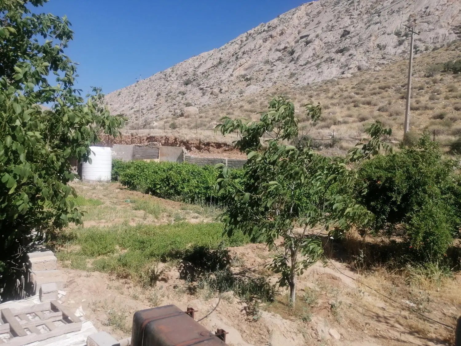 فروش باغ زرقان