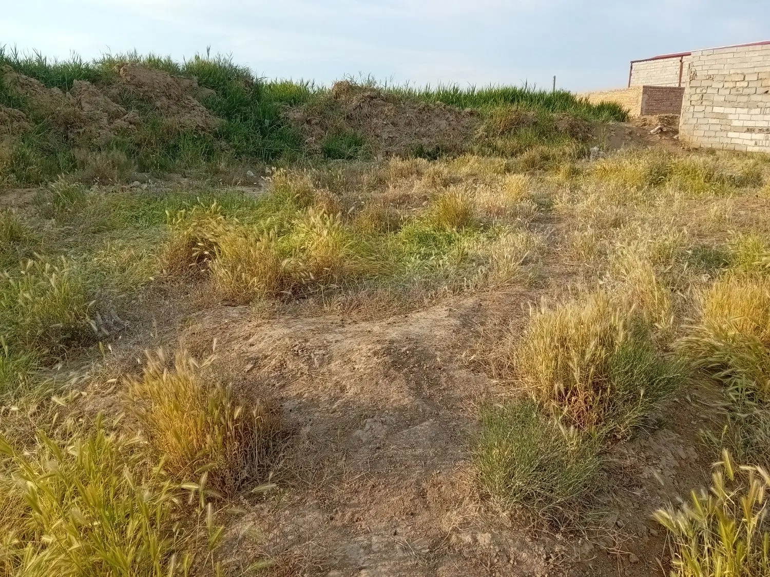 فروش زمین
