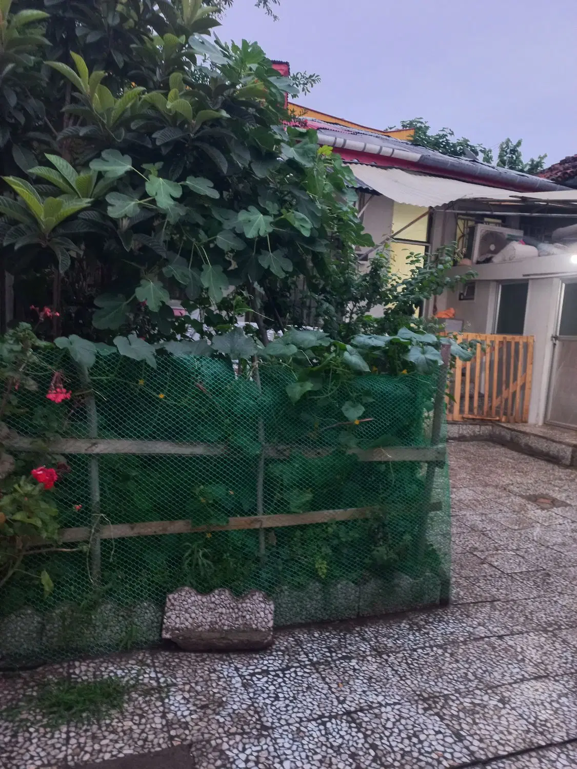 خانه فروش واجاره