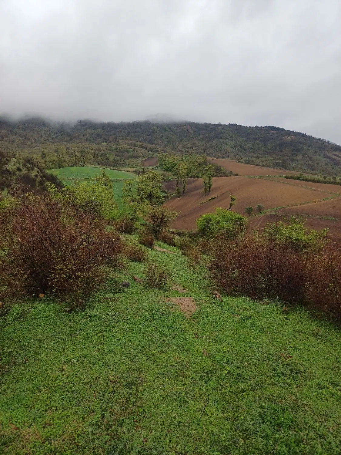 زمین تجاری .صنعتی