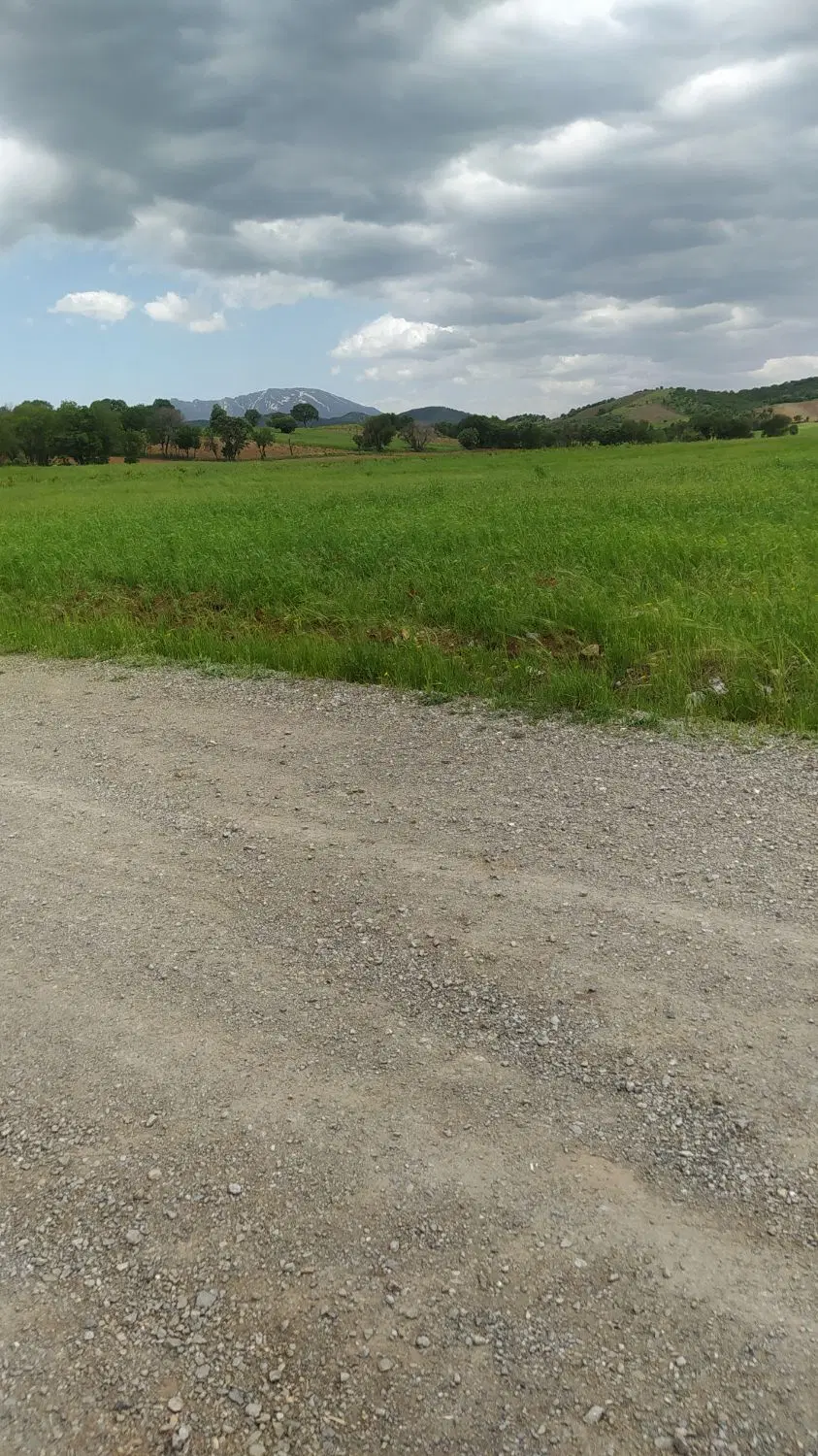 زمین کشاورزی