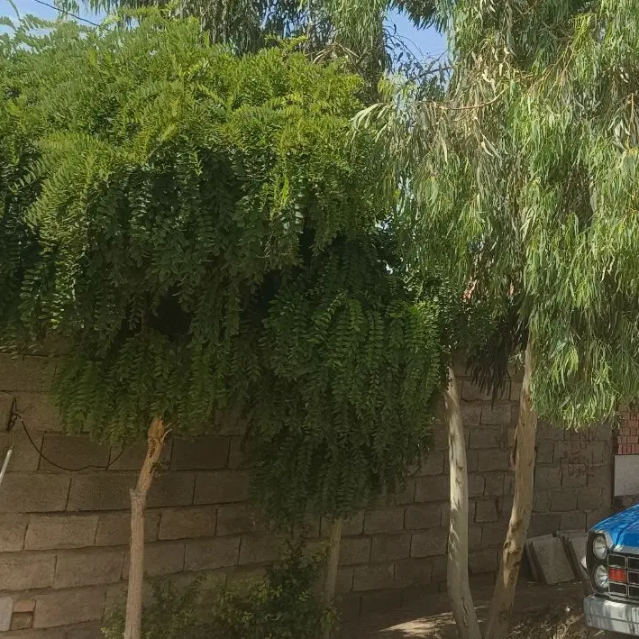 زمین تجاری شهید کازرونی بغل کوچه ۳۴ لب اسفالت