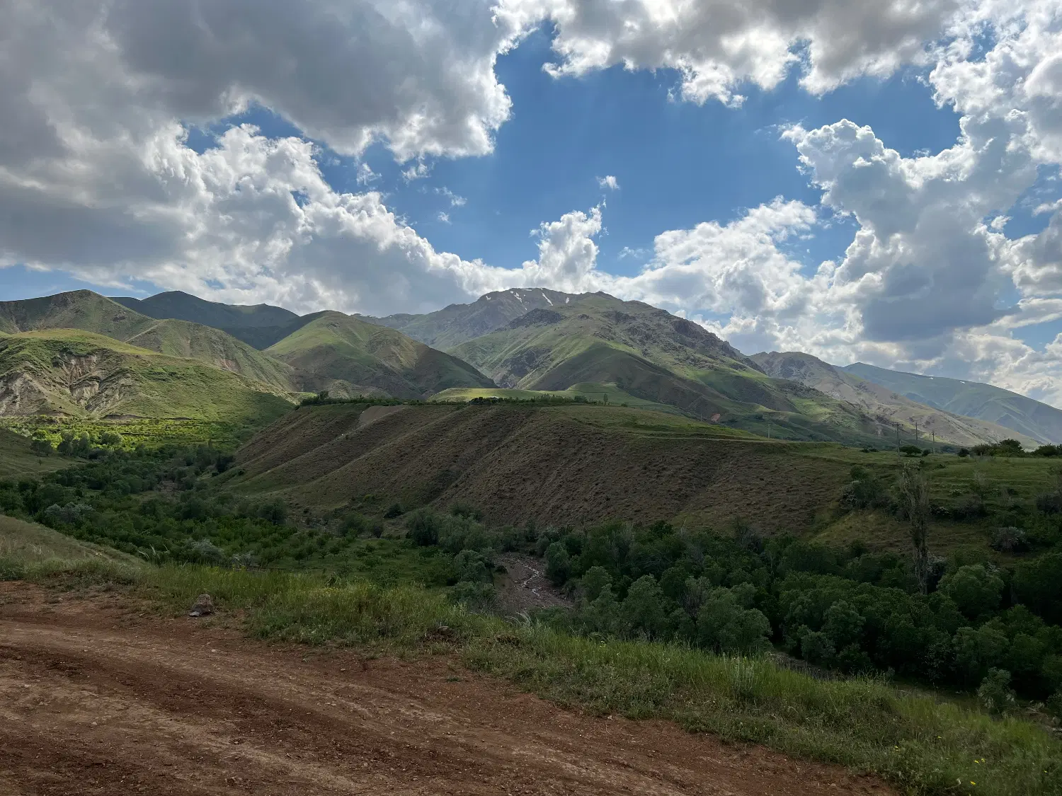 باغ یام