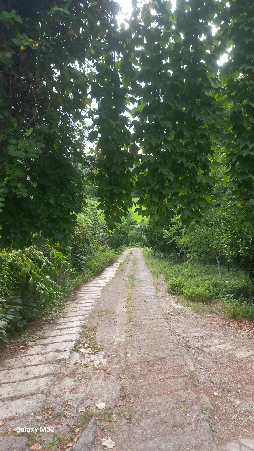 ۳۳۰مترخانه کلنگی گلسار
