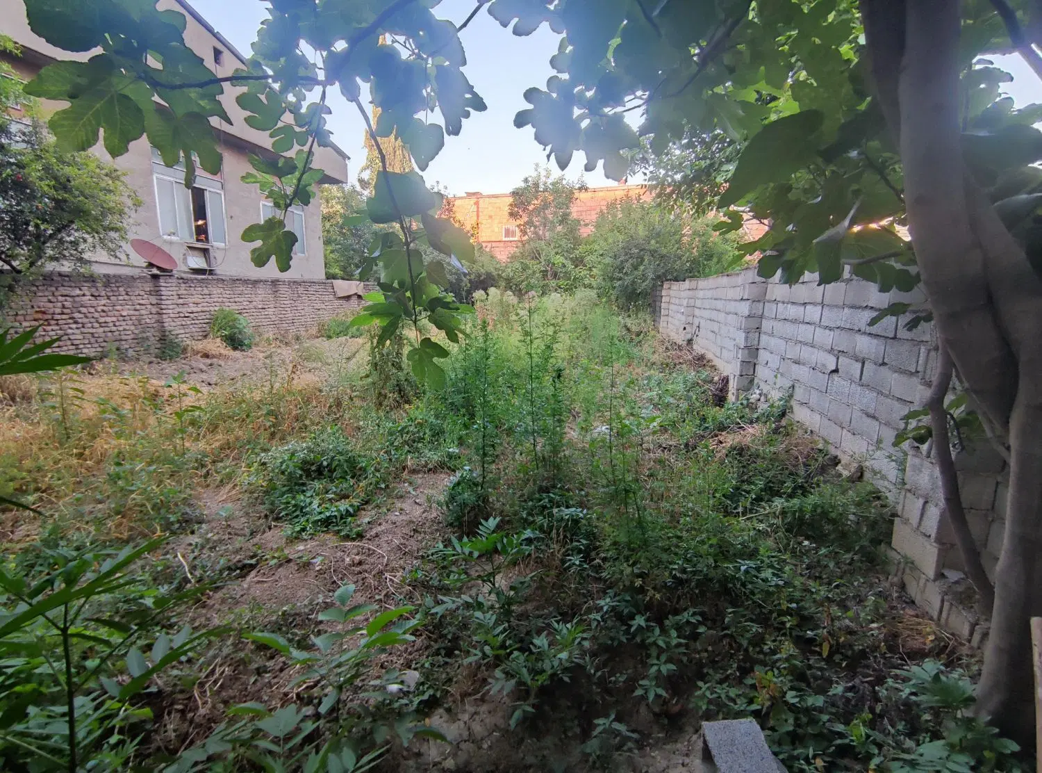 زمین خانه سری داخل شهر
