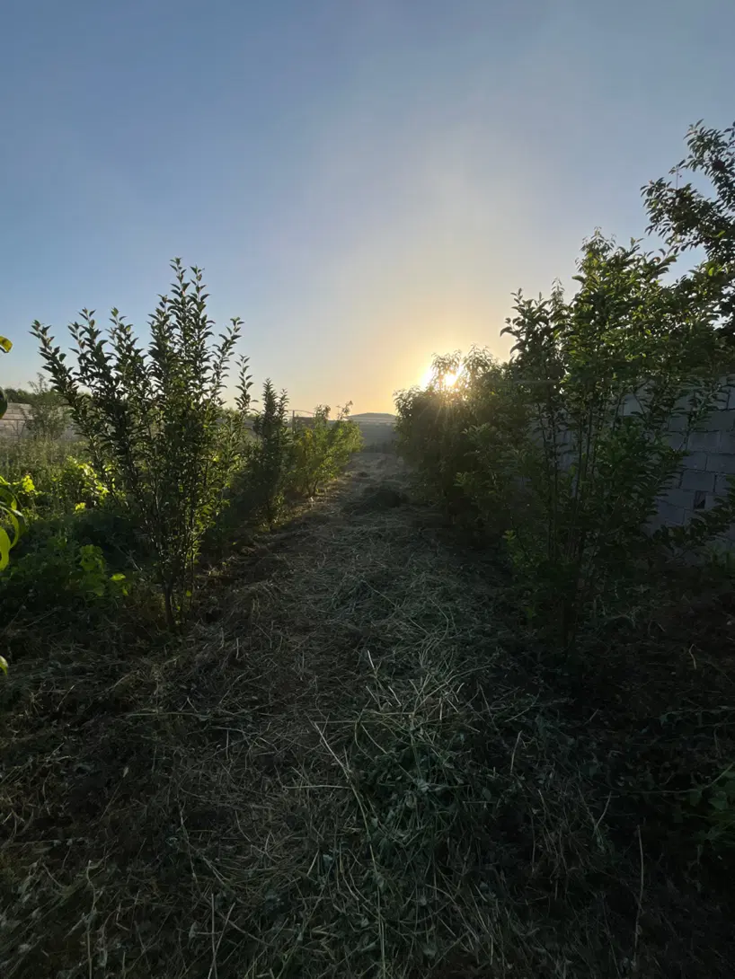 ۵۰۰ متر زمین در جارچلو