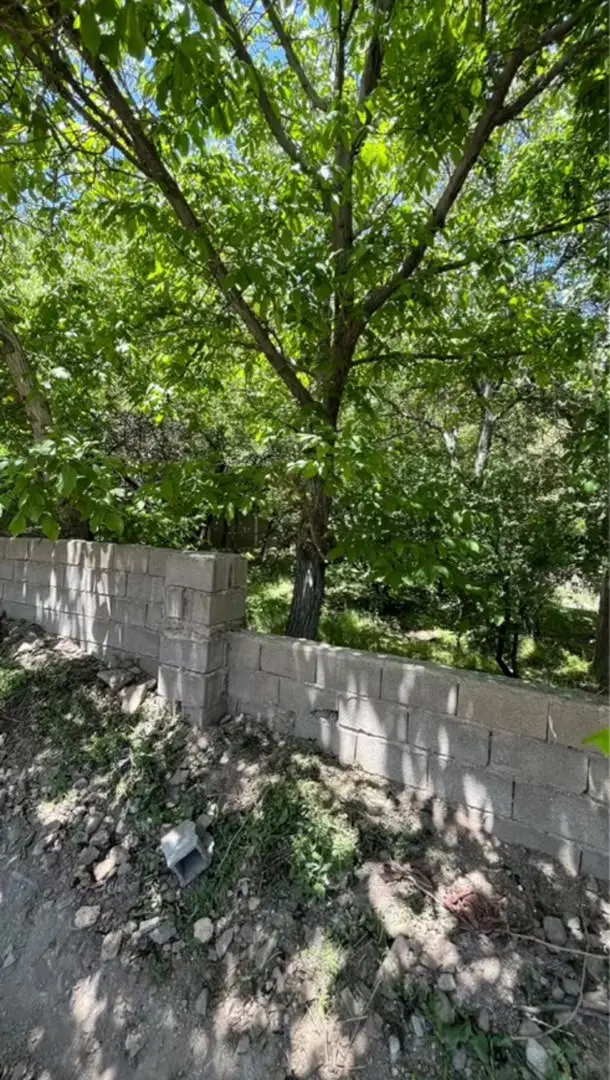 باغچه در دماوند