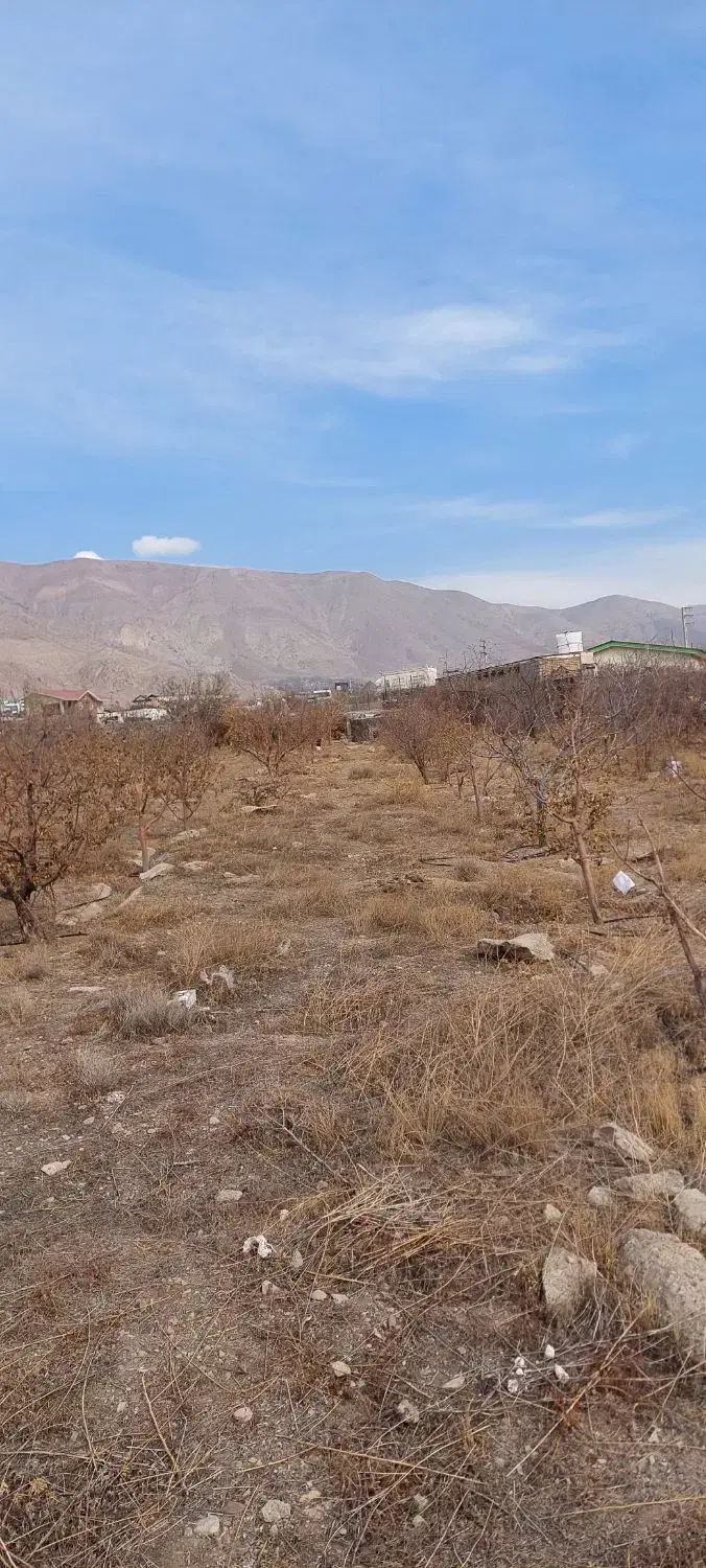 زمین ۱۲هکتار آینه ورزان