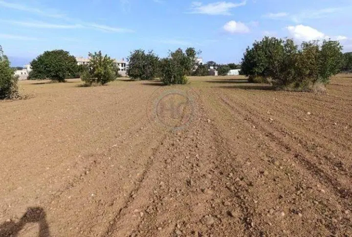 یک قطعه زمین مسکونی