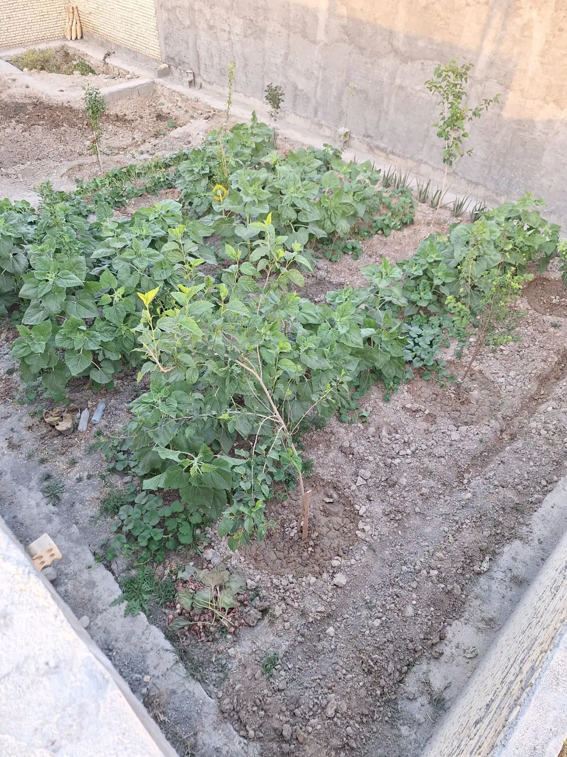 منزل مسکونی
