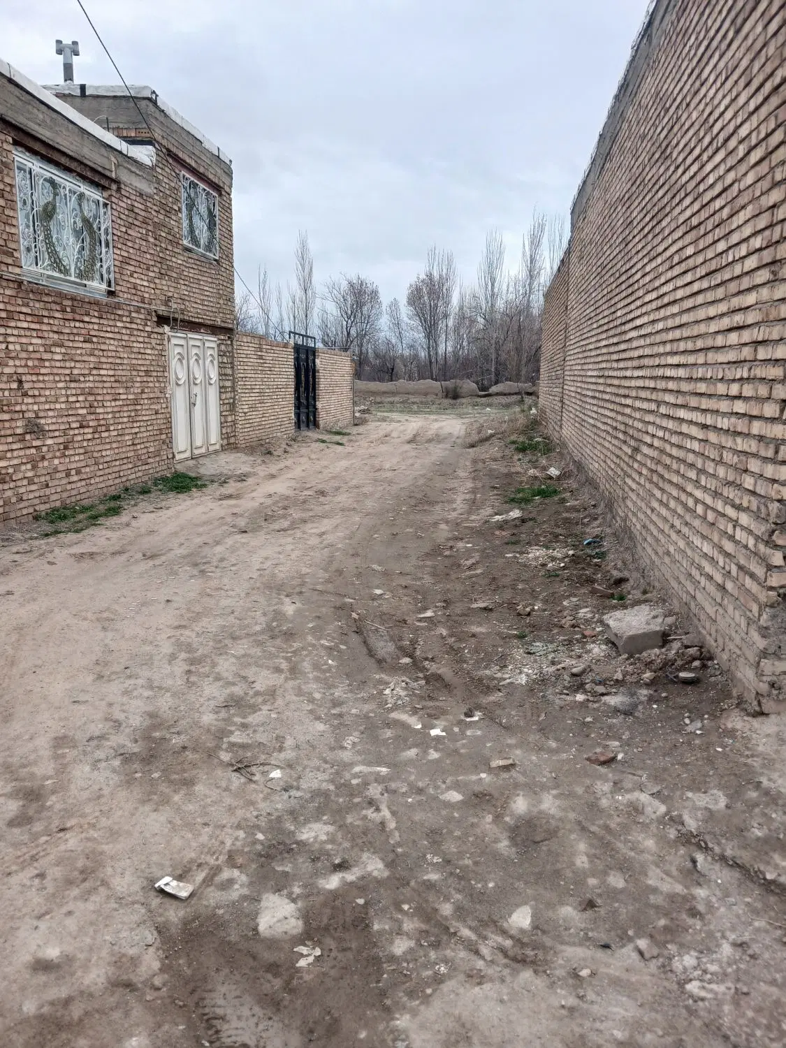 زمین‌مسکونی
