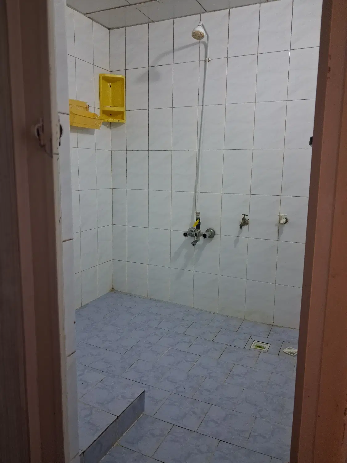 روزانه مبله بلوار قاانی