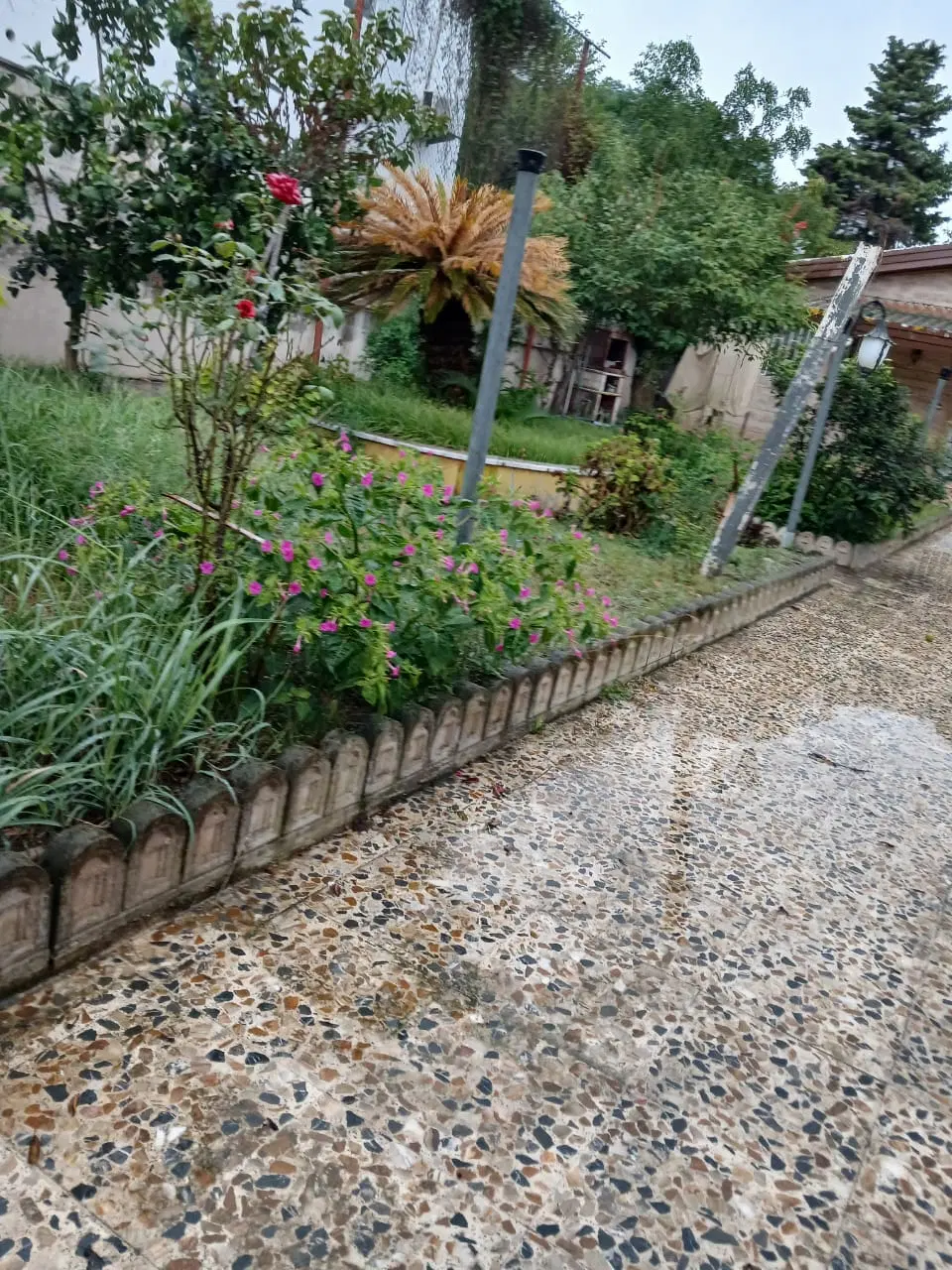 رهن دونیم میلیاردی ویلادربست خ فرهنگ رویان(آنالیز)