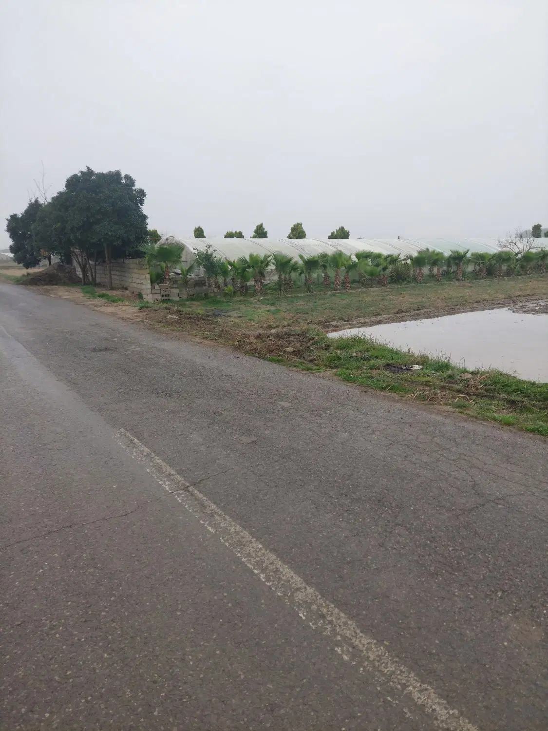 زمین کشاورزی