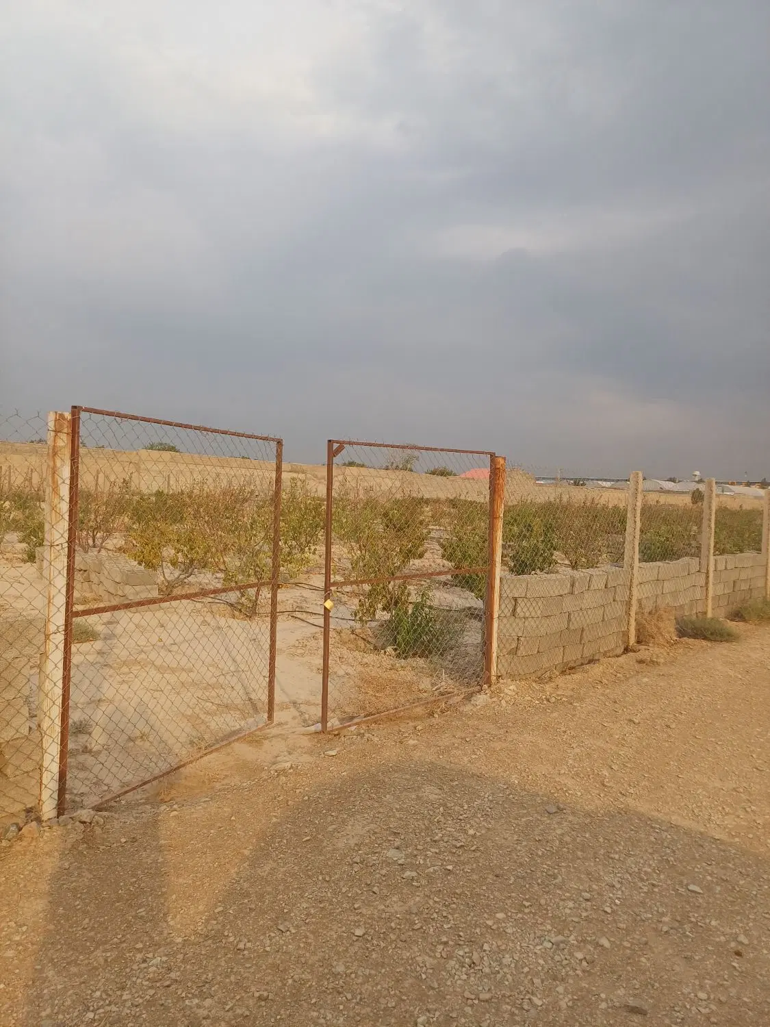باغچه بافنس سند دار