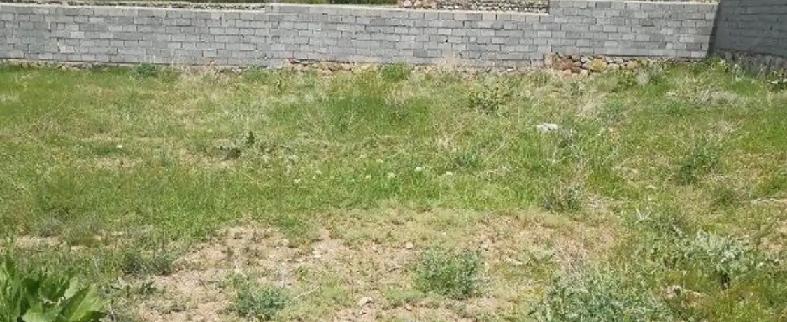 زمین رازبین