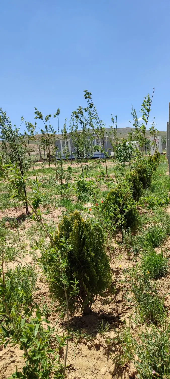 باغ آبشینه همدان
