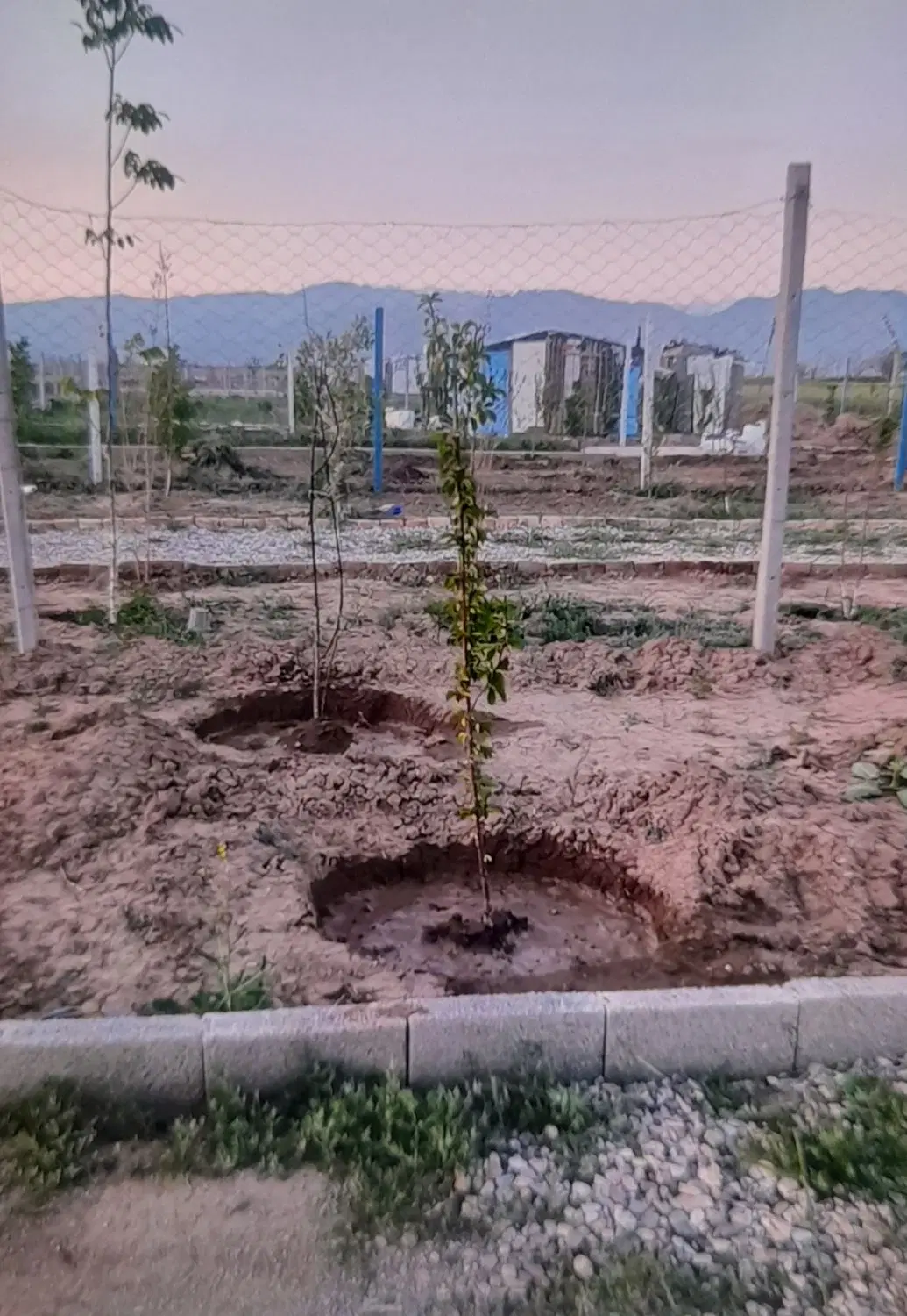 باغچه ۳۰۰ متری فنس کشی شده