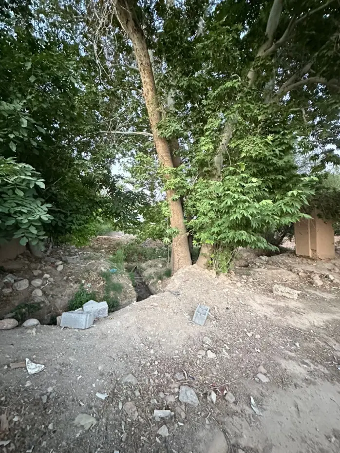باغ اب دائم