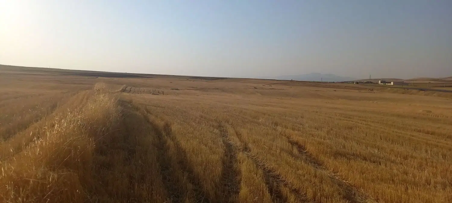 زمین کشاورزی