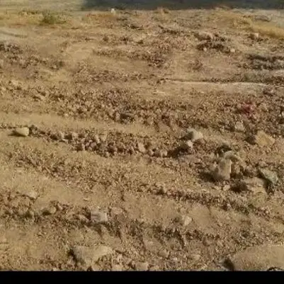فروش زمین در زرقان محله شهریار شهرک علمداری