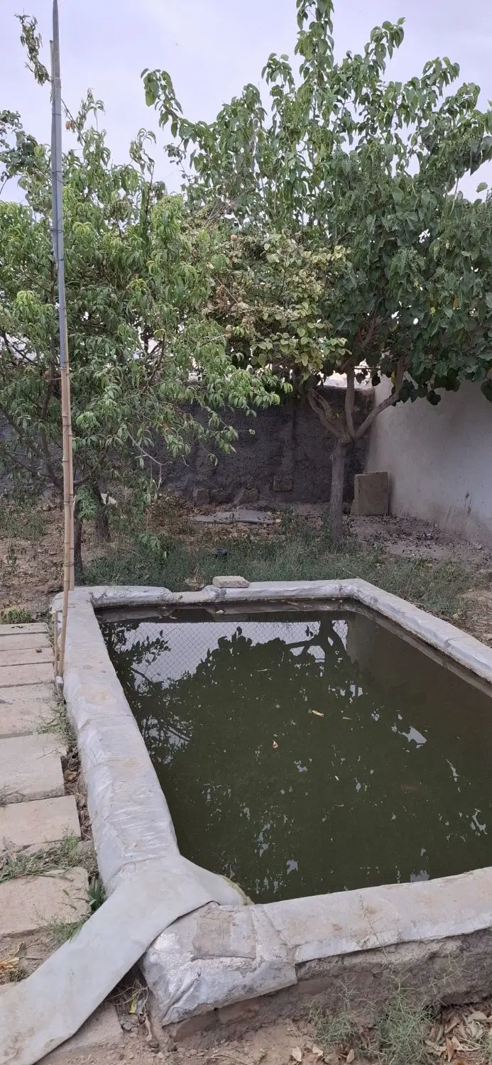 باغ