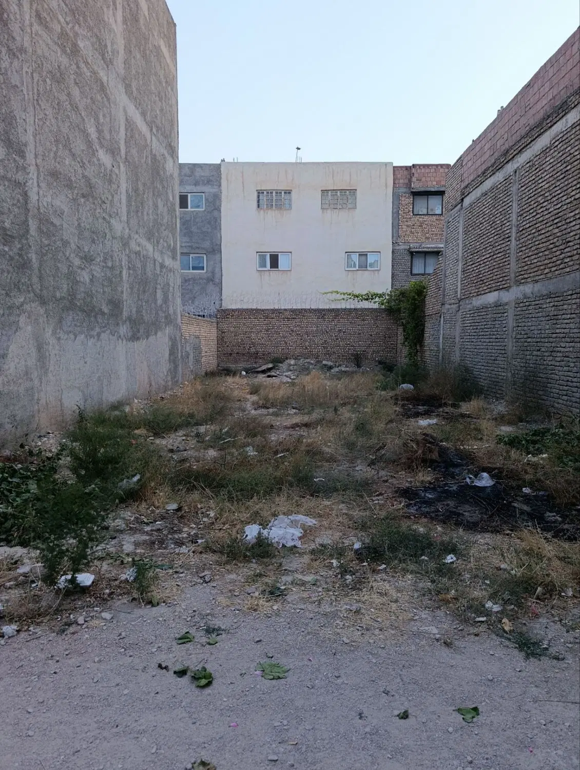 زمین ۱۶۸ متری