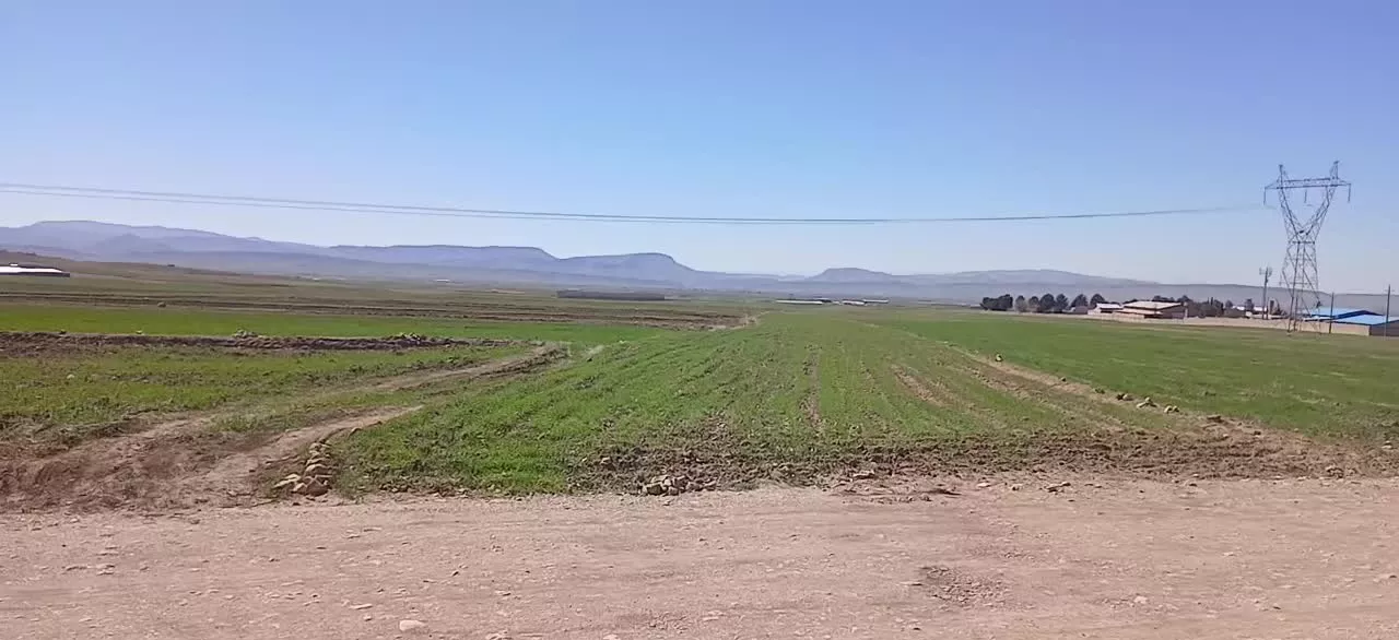 زمین کشاورزی و باغ ویلا و کارخانه